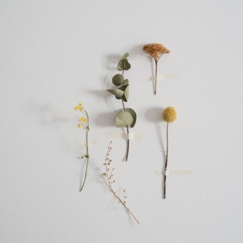 flower (9)